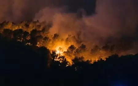 فرنسا.. حريق ضخم يلتهم آلاف الهكتارات بجنوب البلاد