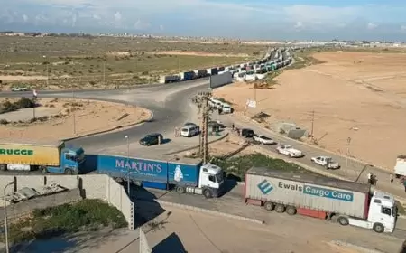 الأمم المتحدة تدعو لدخول مئات الشاحنات الإنسانية والتجارية لغزة يوميا