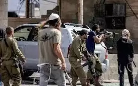 "جودة البيئة": الاحتلال ومستعمروه يواصلون انتهاكاتهم البيئية في قلقيلية تموز الماضي