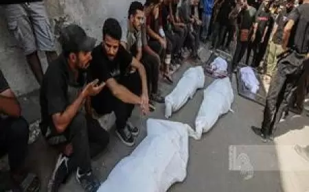 ارتفاع حصيلة عدوان الاحتلال على قطاع غزة إلى 61,430 شهيدا و153,213 مصابا