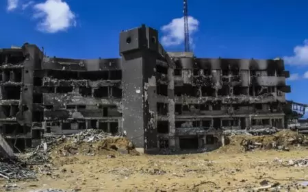 أطباء أجانب يوثقون قصص أهل غزة مع القتل والجوع