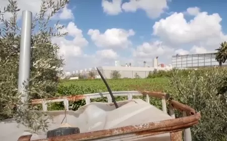 تصعيد إسرائيلي جديد: قرار بهدم كامل مزرعة “حاكورتنا” غرب طولكرم