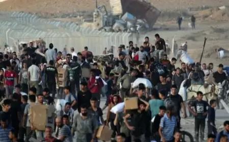 شفافية في زمن الجحيم: تدفق البيانات والمساءلة في مساعدات قطاع غزة