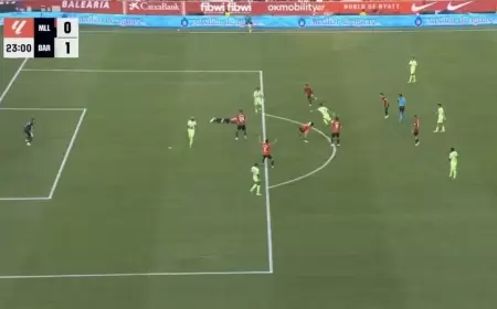 هل كان يجب إلغاء هدف فيران توريس؟