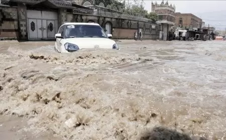 اليمن.. وفاة 6 أشخاص جراء تدفق السيول بمحافظة شبوة