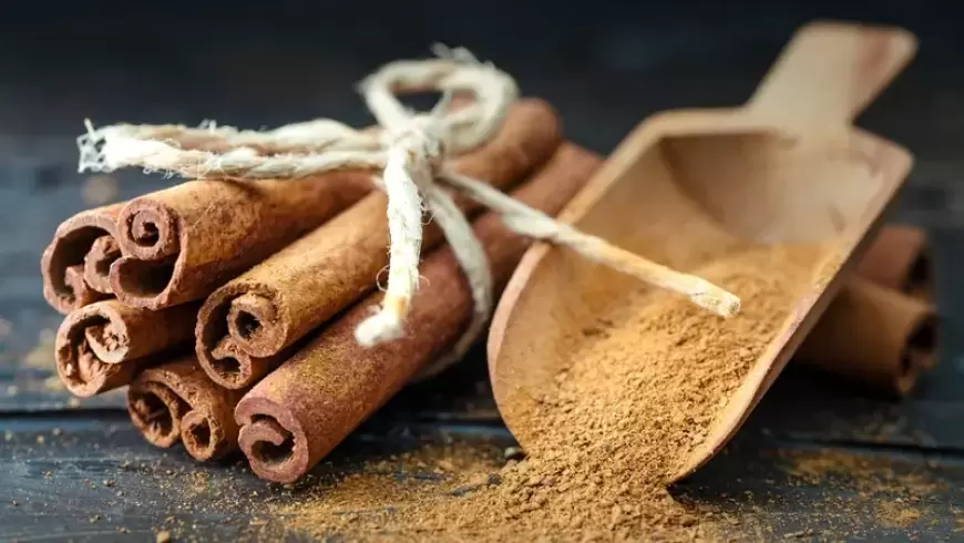القرفة أم الهيل.. أيهما أفضل للقلب وتنظيم ضغط الدم والسكري؟