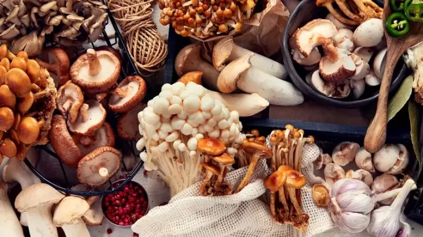 5 أطعمة نباتية تعزز مستويات فيتامين D.. بينها الفطر