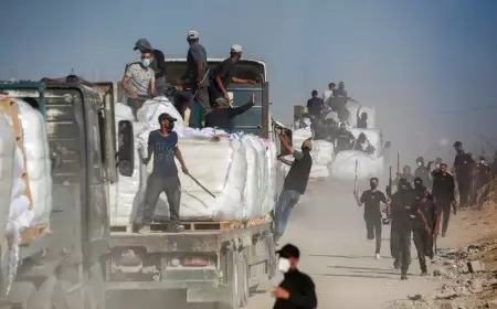 سرقة ونهب المساعدات الإنسانية "إما أن يذهب ويعود، إما أن يذهب ويقتل"