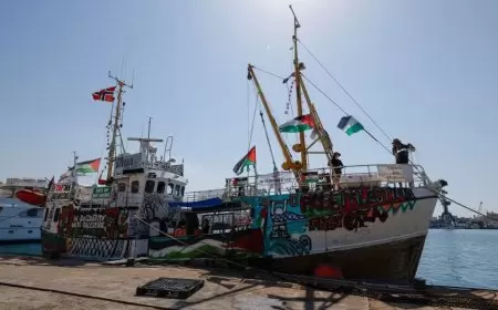 "الأسطول قادم... وغزة في الانتظار"