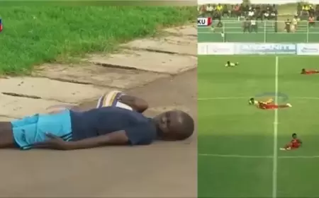 تظاهر اللاعبون بالموت.. سرب من النحل يوقف مباراة كرة قدم في تنزانيا