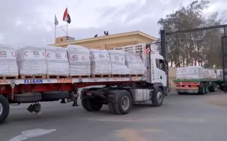 وكالة الإمارات للمساعدات الدولية تواصل إغاثة غزة عبر 100 شاحنة محملة بمواد متنوعة