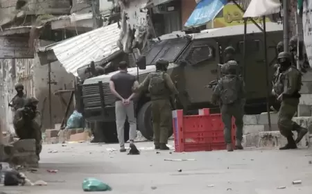 الاحتلال يعتقل مواطنا وزوجته من مدينة رام الله