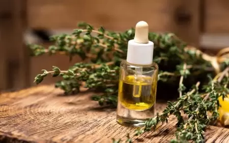 فوائد كبيرة لعشبة بمنزلك تحدث فرقاً.. دراسة تكشف