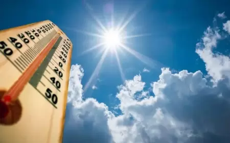 الحر قتل أكثر من 60 ألف أوروبي.. دراسة مهمة تكشف