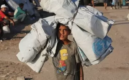 الأونروا: الاحتلال استهدف 12 منشأة تأوي آلاف النازحين بغزة ويشدد قيوده بالضفة المحتلة