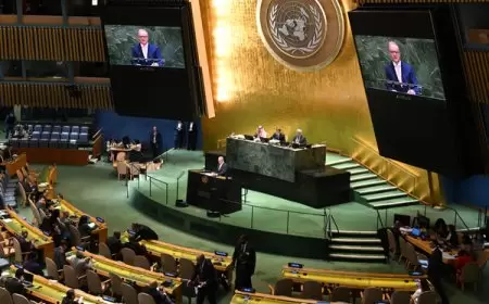 مؤتمر حل الدولتين يدعو لتحويل المواقف إلى أفعال ويطالب بوقف الاستيطان