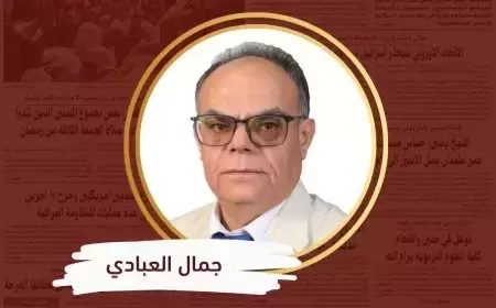 من الجزائر إلى غزة: نهاية أسطورة القوة وبداية أزمة الشرعية الإسرائيلية