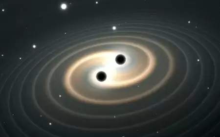 إشارة قصيرة أربكت العلماء.. هل وصلتنا من عالم آخر؟