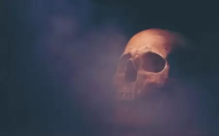 عمرها مليون سنة.. جمجمة تكشف جديداً عن التطور البشري