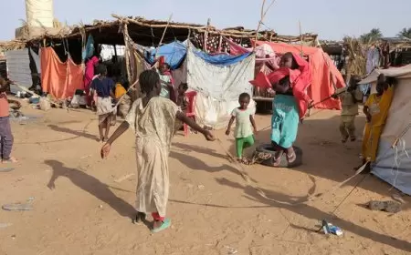 وفاة 95 نازحا في أحد مخيمات الفاشر جراء الجوع والمرض