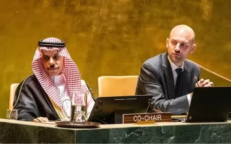 “حلّ الدولتين”… الخيار المستحيل في فلسطين!