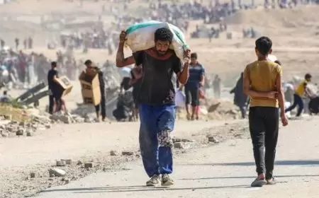 حصيلة مأساوية.. أكثر من 66 ألف شهيد وتصعيد الاحتلال على غزة تحت الحصار