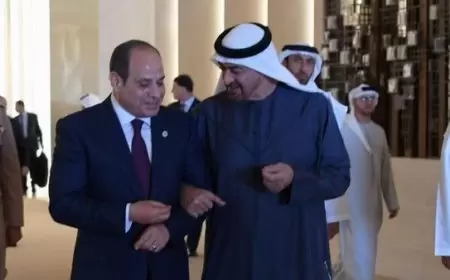 رئيس الإمارات يصل القاهرة للقاء نظيره المصري