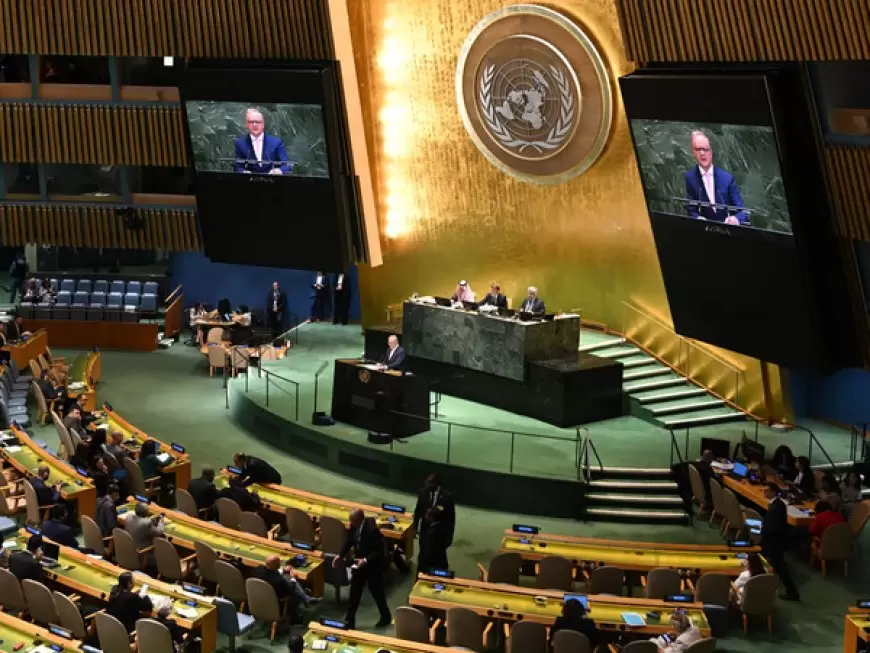 مؤتمر حل الدولتين يدعو لتحويل المواقف إلى أفعال ويطالب بوقف الاستيطان