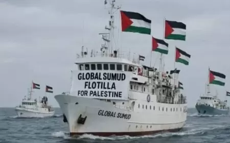 دعوة جماهيرية للمشاركة في التجمع التضامني مع نشطاء "أسطول الحرية الدولي – صمود" أمام مقر الأمم المتحدة في رام الله .