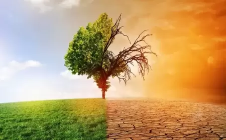 التغير المناخي مستمر.. ارتفاع كبير في حرارة العواصم الكبرى بالعالم