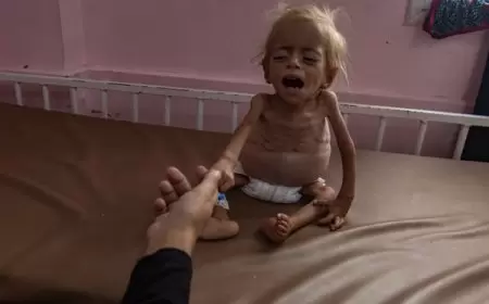 هكذا يفكر الشباب الإسرائيلي الذين يسخرون من معاناة غزة على تيك توك