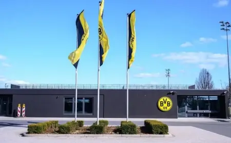 فضيحة اعتداء جنسي تهز نادي دورتموند الألماني