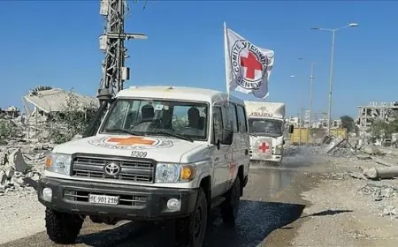 الصليب الأحمر يتسلم جثتي أسيرين إسرائيليين من غزة