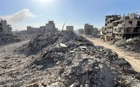 بذريعة الأموات.. يقتل الاحتلال المزيد من الأحياء!