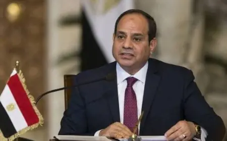 السيسي: نتطلع لدور كبير للاتحاد الأوروبي بمؤتمر إعادة إعمار غزة في مصر