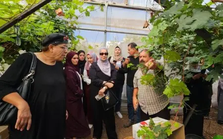 زيارة تبادلية جمعت مزارعات رياديات من أصحاب المشاريع الصغيرة والمتوسطة من محافظتي طولكرم وقلقيلية .