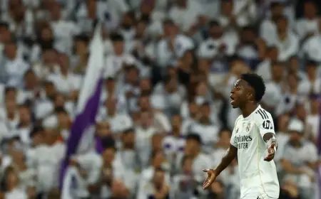 مدرب ريال مدريد عن لقطة فينيسيوس: سنتحدث في "الغرفة المغلقة"