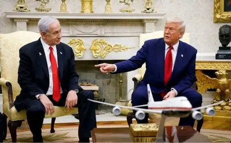 دولة الاحتلال تحت الوصاية