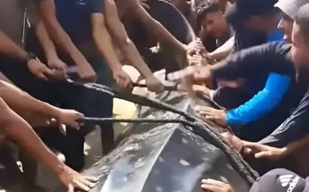 الحوت الذي لفظه البحر في غزة