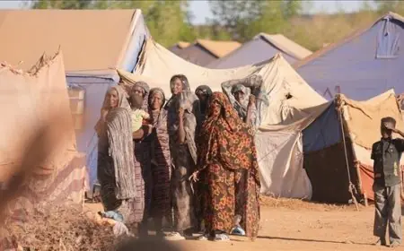 الهجرة الدولية: نزوح أكثر من 36 ألف شخص من الفاشر خلال 4 أيام