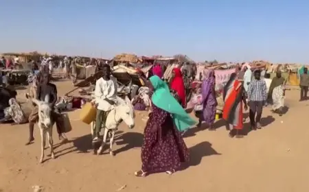 الأمم المتحدة: الدعم السريع تستخدم التجويع سلاحا في الفاشر