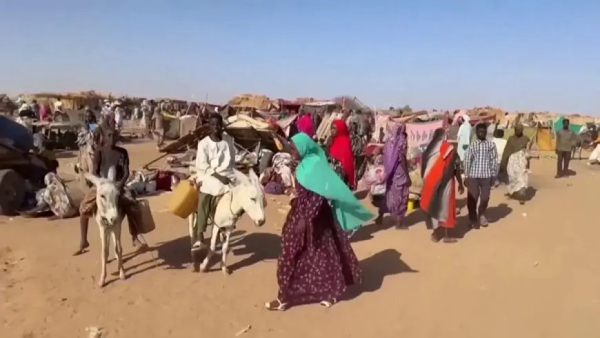 الأمم المتحدة: الدعم السريع تستخدم التجويع سلاحا في الفاشر