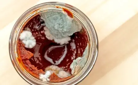 خطأ نرتكبه جميعاً.. حذار استعمال معجون الطماطم بعد إزالة العفن