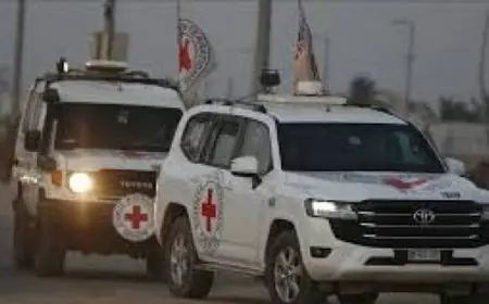 إعلام عبري: التعرف على هوية 3 جثث سلمتها القسام.. بينهم عقيد