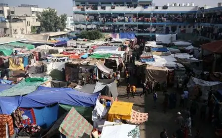 اللجان المحلية لتعزيز المساءلة المجتمعية في مراكز الإيواء بقطاع غزة