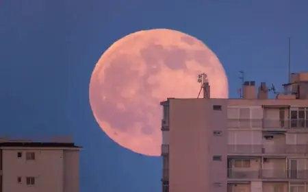 القمر العملاق يقترب من سماء السودان.. وعالم فلكي يُوضح