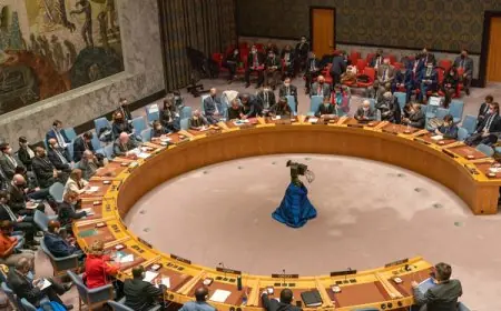 واشنطن توزع رسميا مشروع قرار بشأن غزة على مجلس الأمن