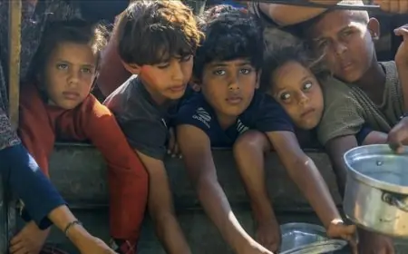 إسرائيل تهندس تجويع غزة.. رفوف عامرة بكماليات وخاوية من الأساسيات