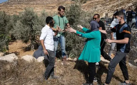 الأمم المتحدة: هجمات المستوطنين الإسرائيليين تسجل مستوى قياسيا