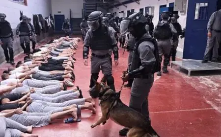 تحقيق يكشف استشهاد 98 فلسطينيا جراء التعذيب بسجون الاحتلال منذ أكتوبر 2023